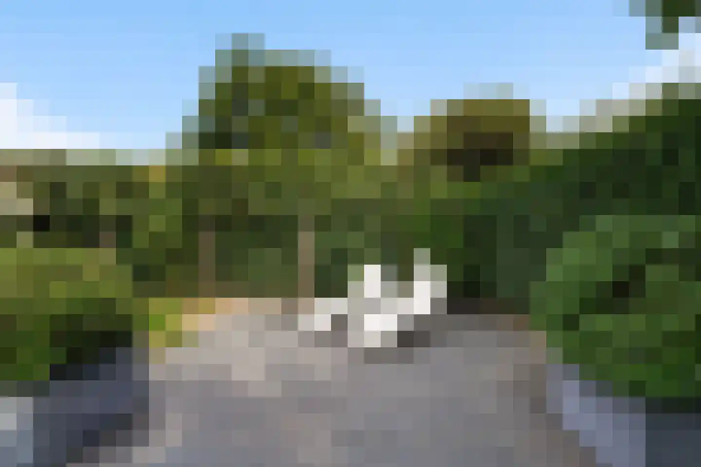Zandkampke 9 's-Hertogenbosch thumbnail 45