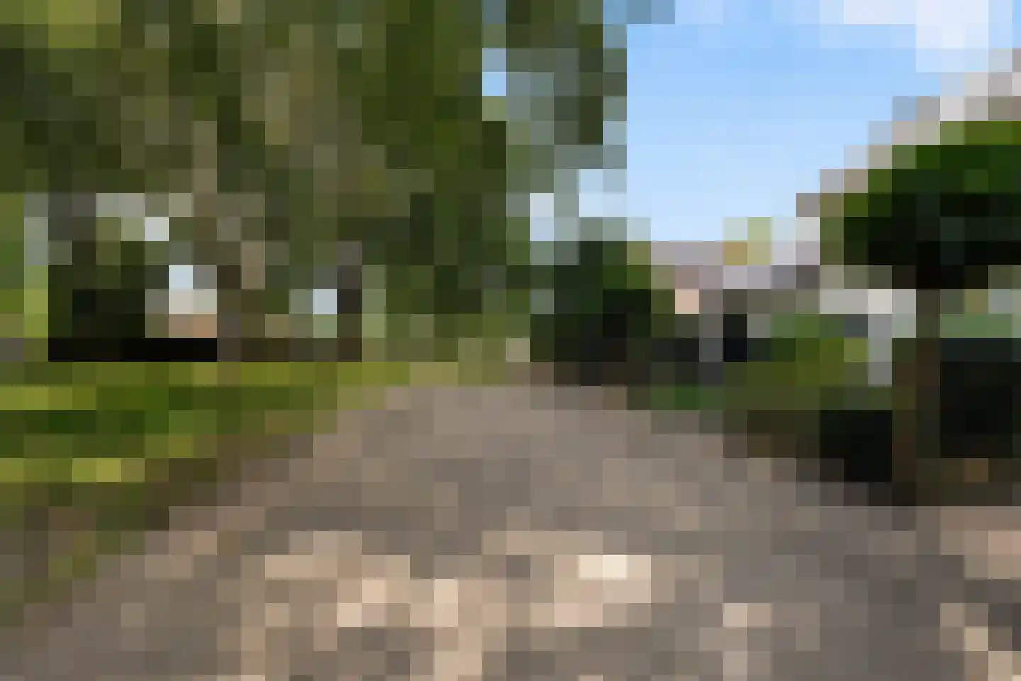 Zandkampke 9 's-Hertogenbosch thumbnail 79