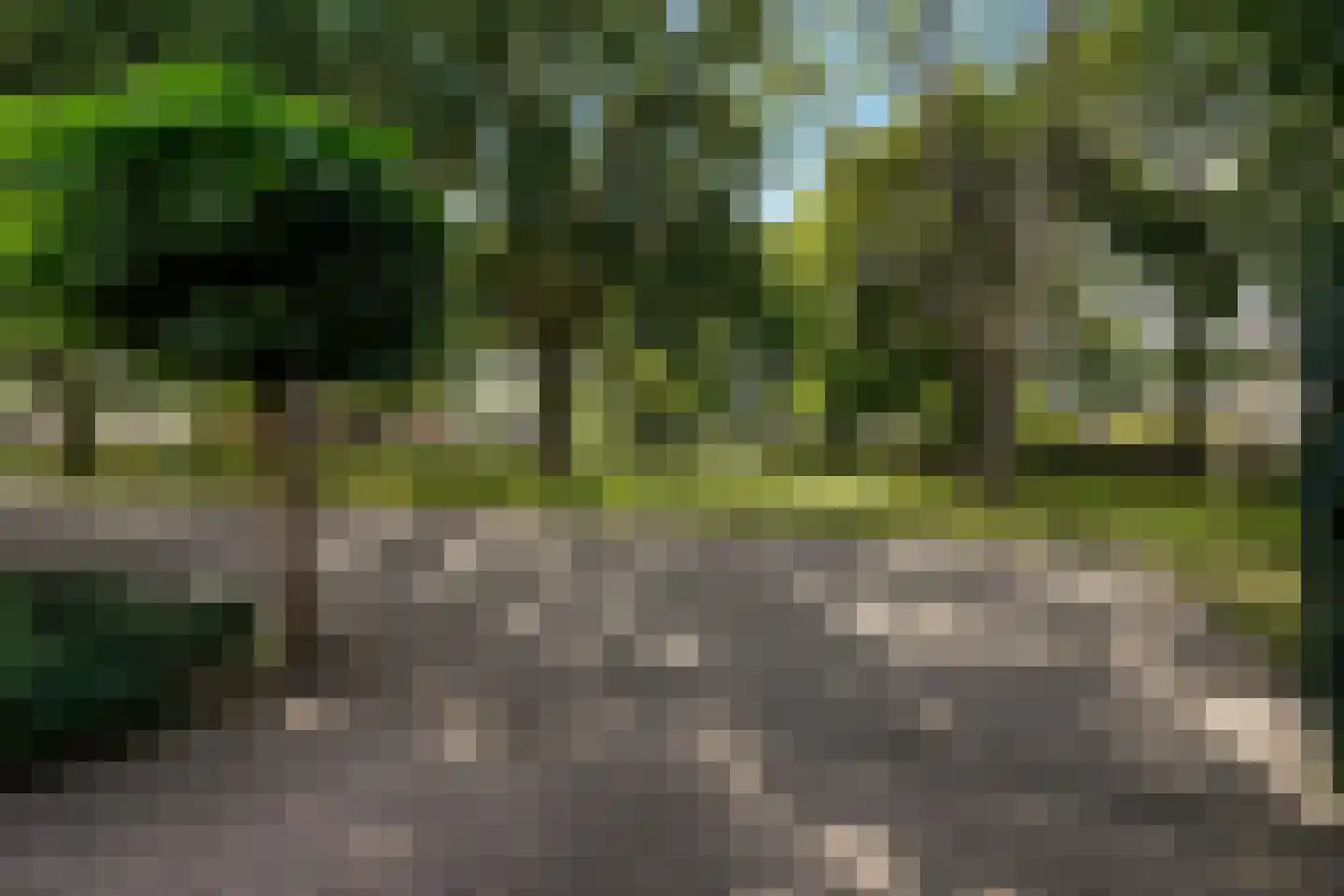 Zandkampke 9 's-Hertogenbosch thumbnail 8