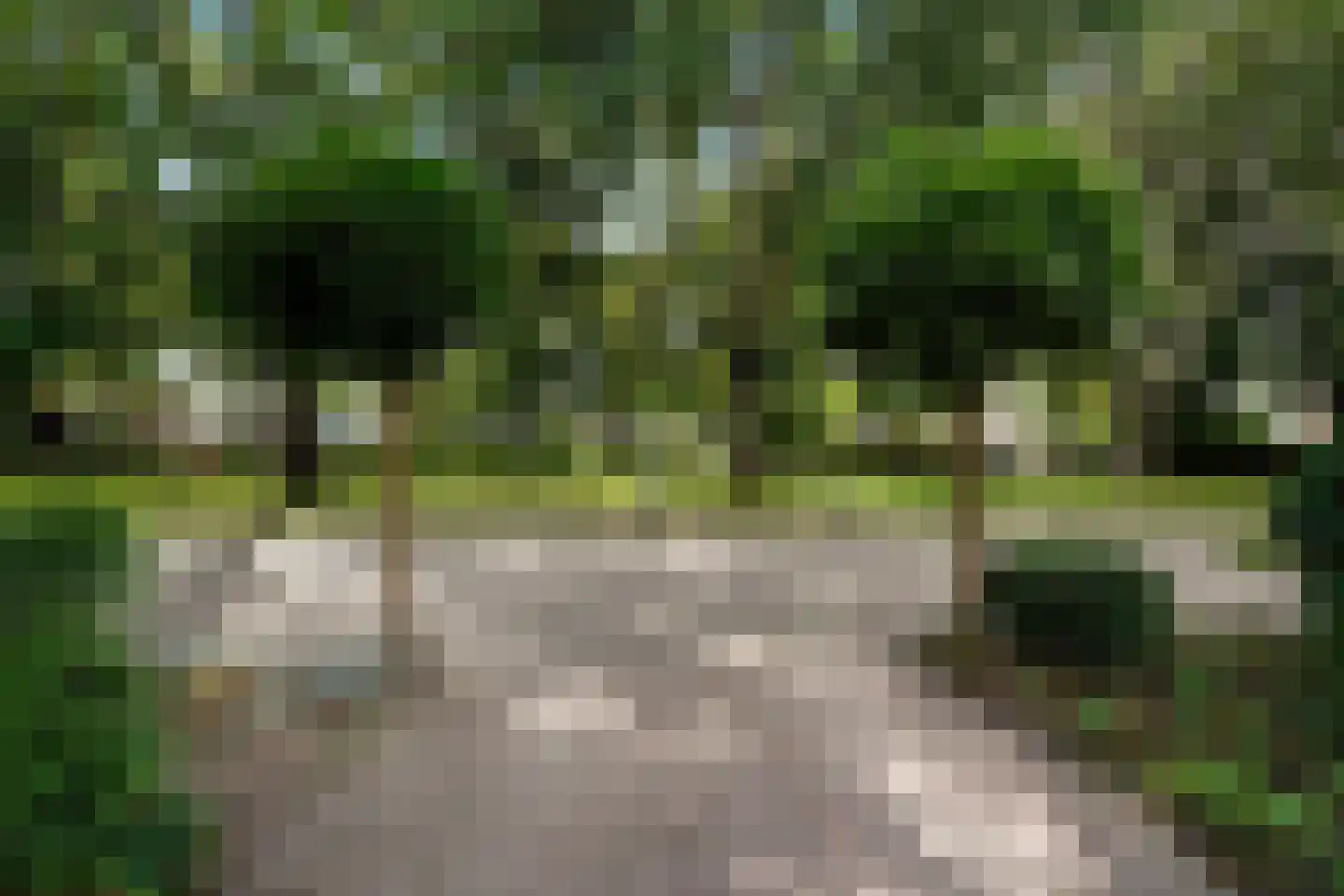 Zandkampke 9 's-Hertogenbosch thumbnail 80