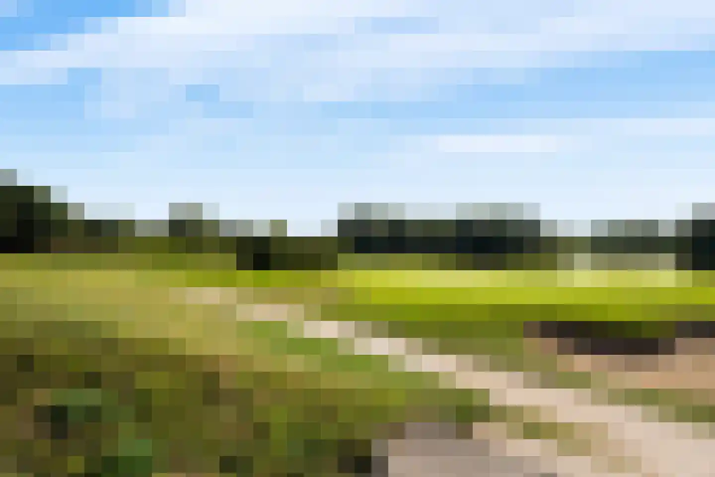 Zandkampke 9 's-Hertogenbosch thumbnail 82