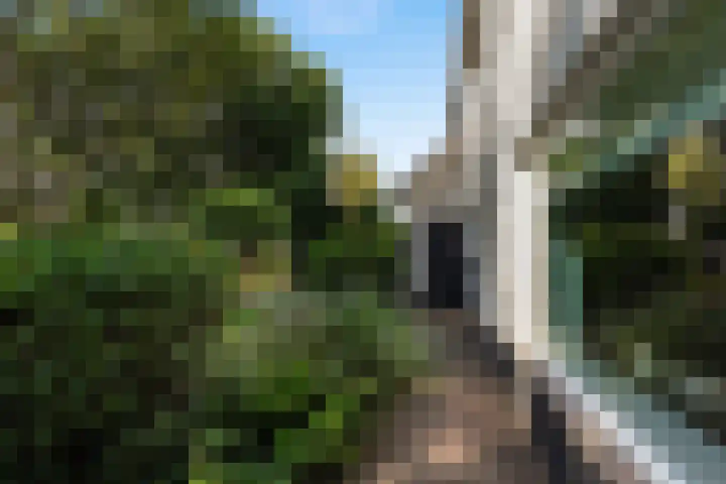 Zandkampke 9 's-Hertogenbosch thumbnail 9