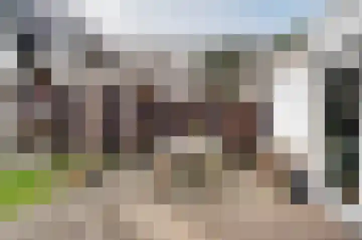 Zandkantsestraat 5 Schijndel thumbnail 32