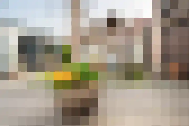 Zandkantsestraat 5 Schijndel thumbnail 33