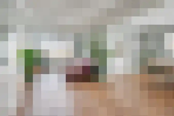 Zandkantsestraat 5 Schijndel thumbnail 5