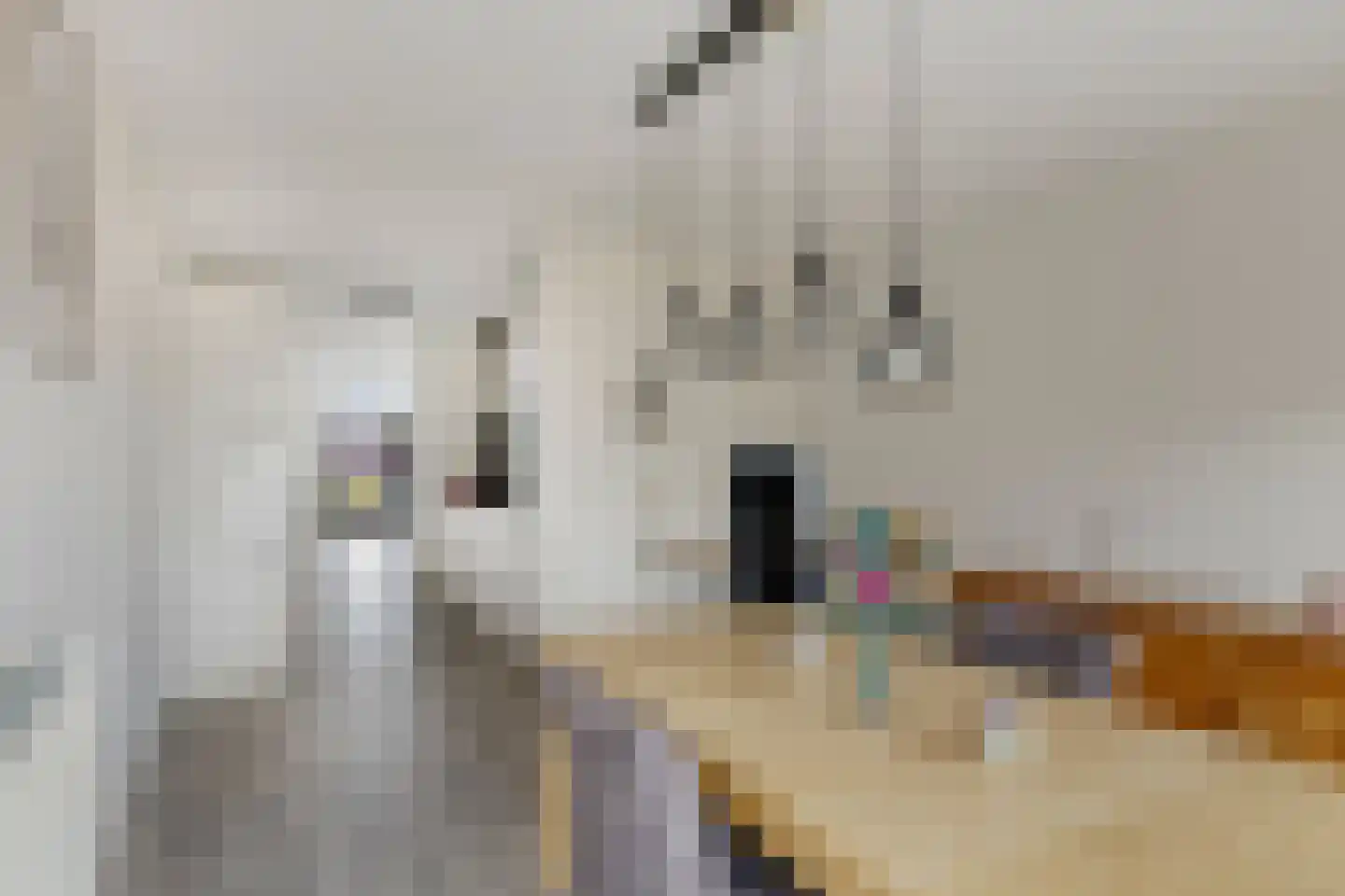 Zandkasteel 134 Eindhoven thumbnail 20