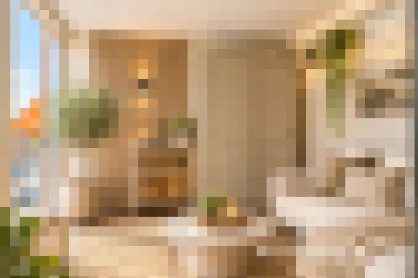Zandkasteel 134 Eindhoven thumbnail 5