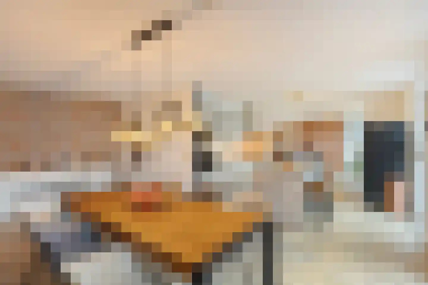 Zandkasteel 182 Eindhoven thumbnail 22