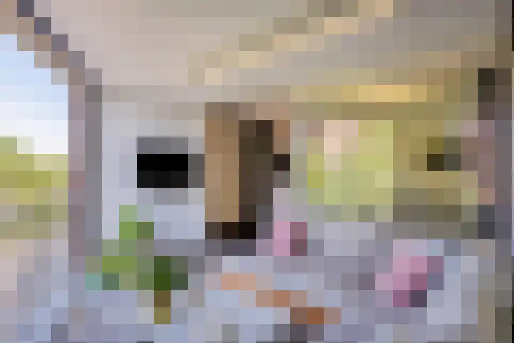 Zandkasteel 188 Eindhoven thumbnail 19