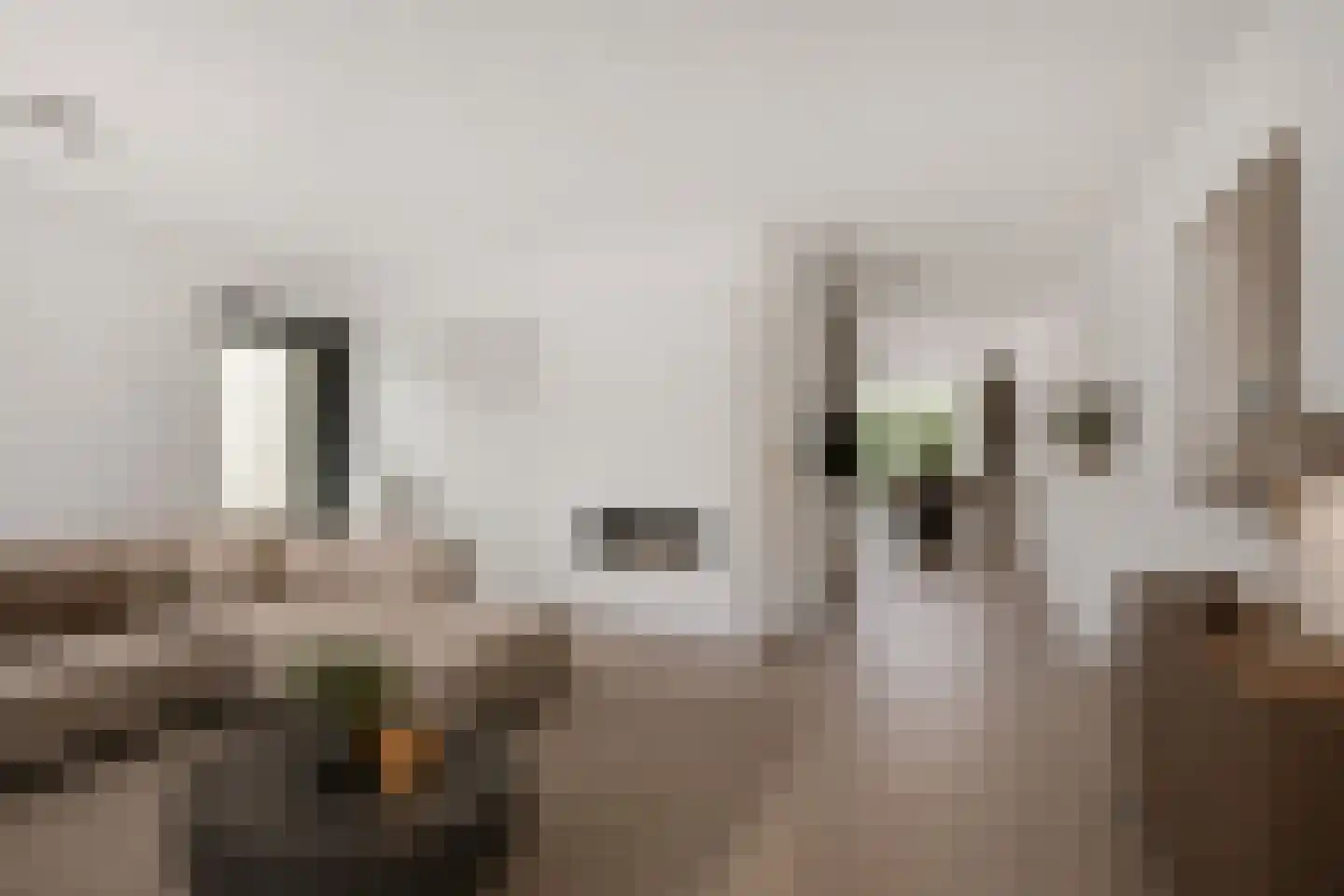 Zandkever 10 Eindhoven thumbnail 13