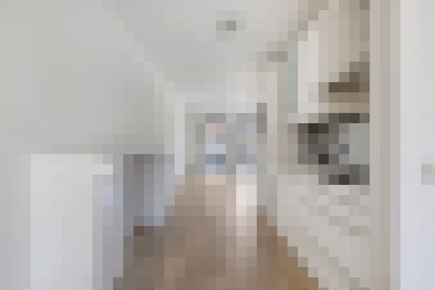 Zandkever 10 Eindhoven thumbnail 15