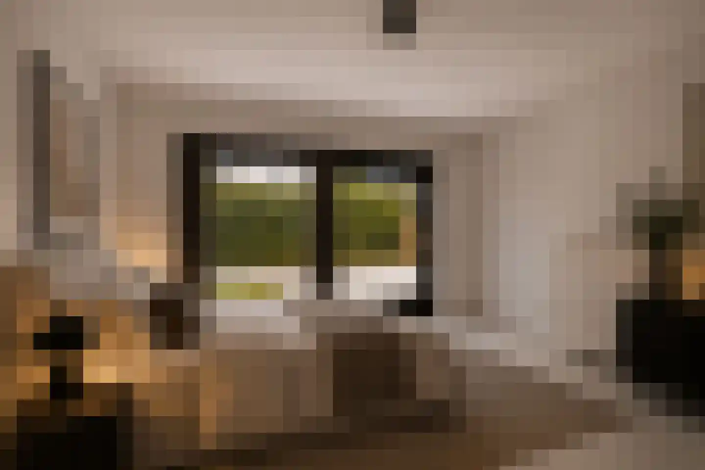 Zandkever 10 Eindhoven thumbnail 24