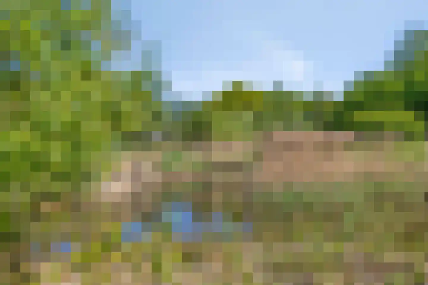 Zandkever 10 Eindhoven thumbnail 43