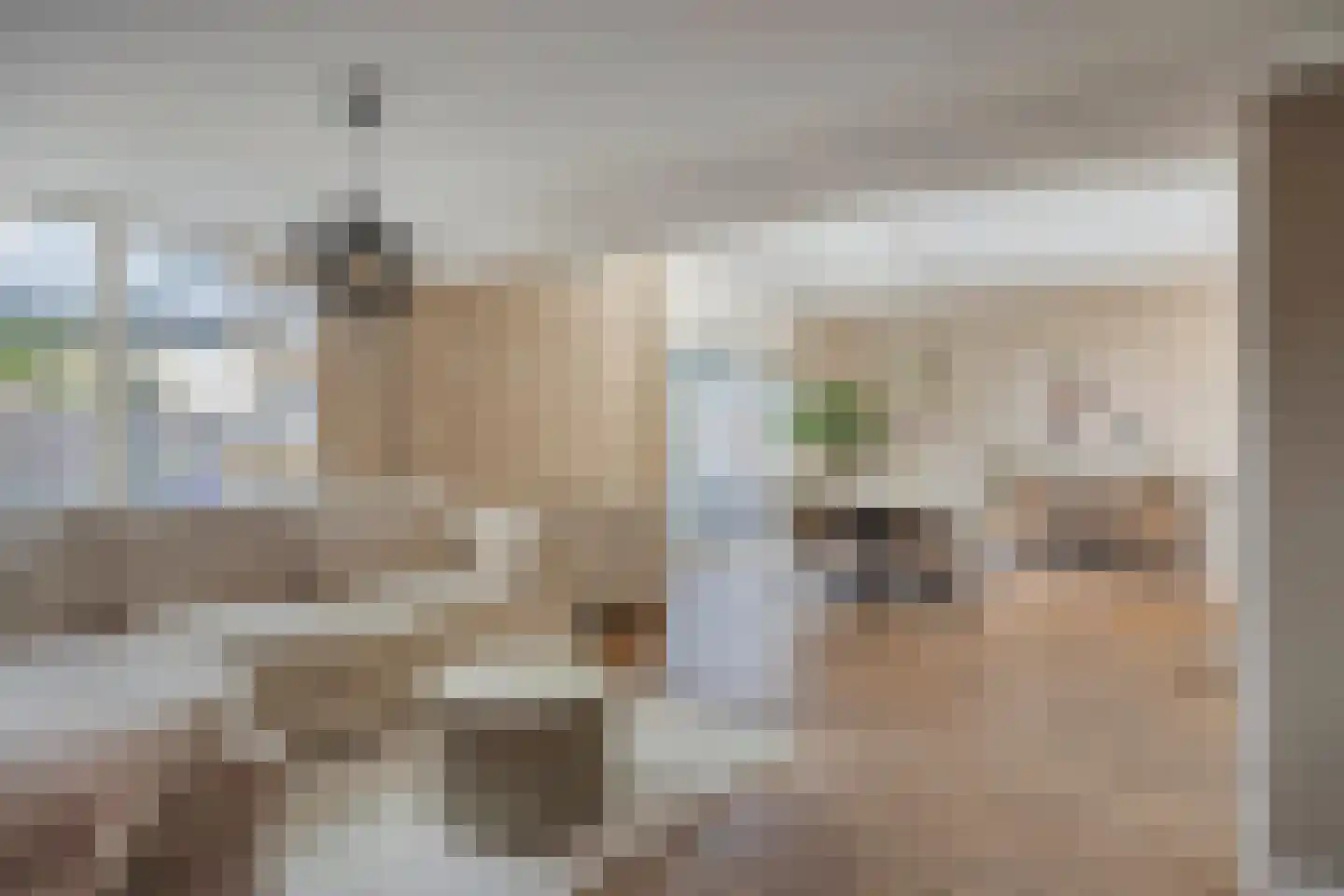 Zandkrab 10 Eindhoven thumbnail 16