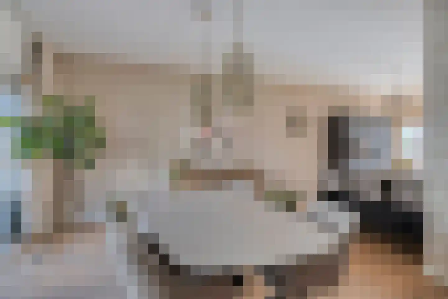 Zandkrab 10 Eindhoven thumbnail 17