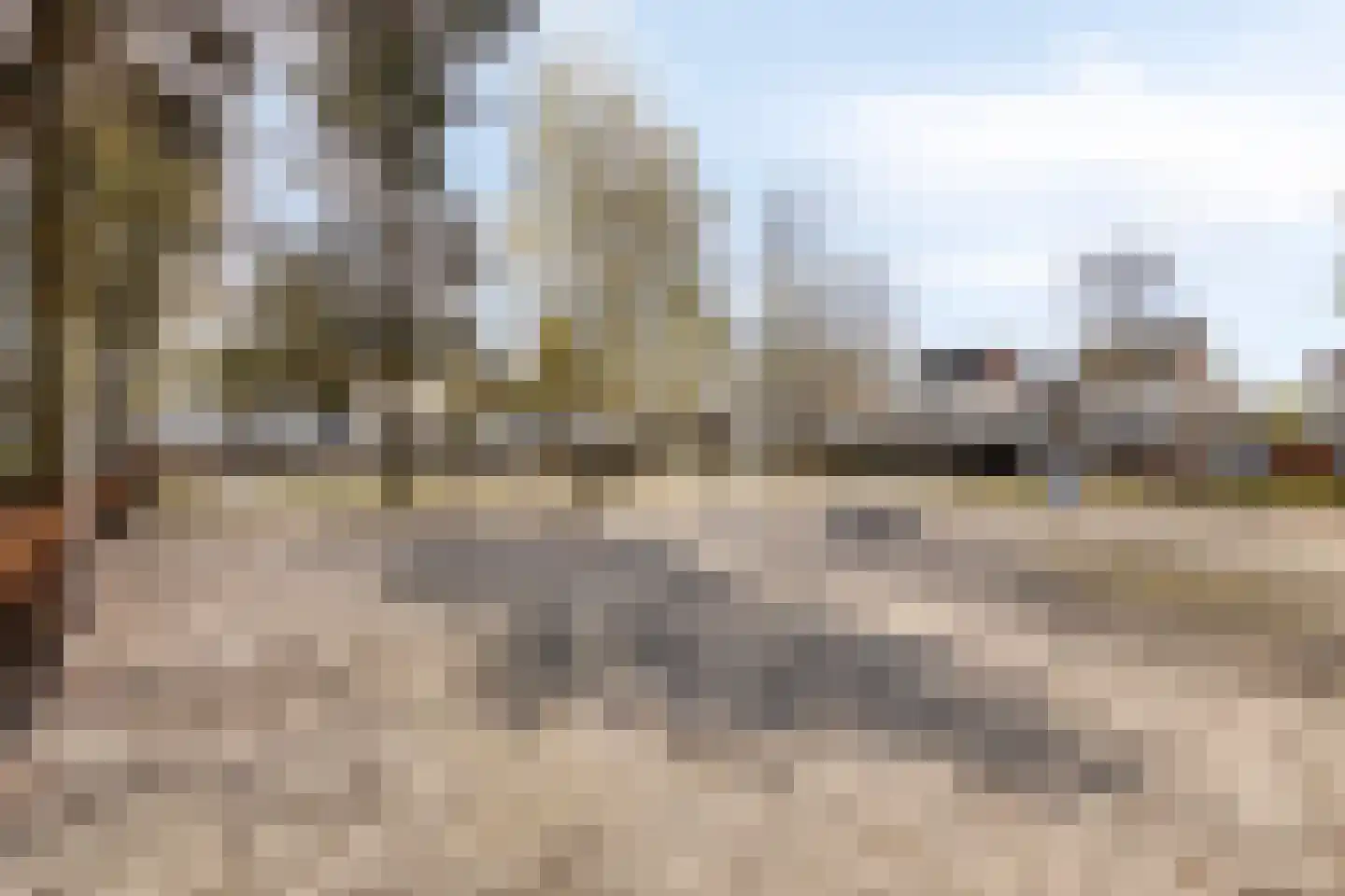 Zandkrab 10 Eindhoven thumbnail 28