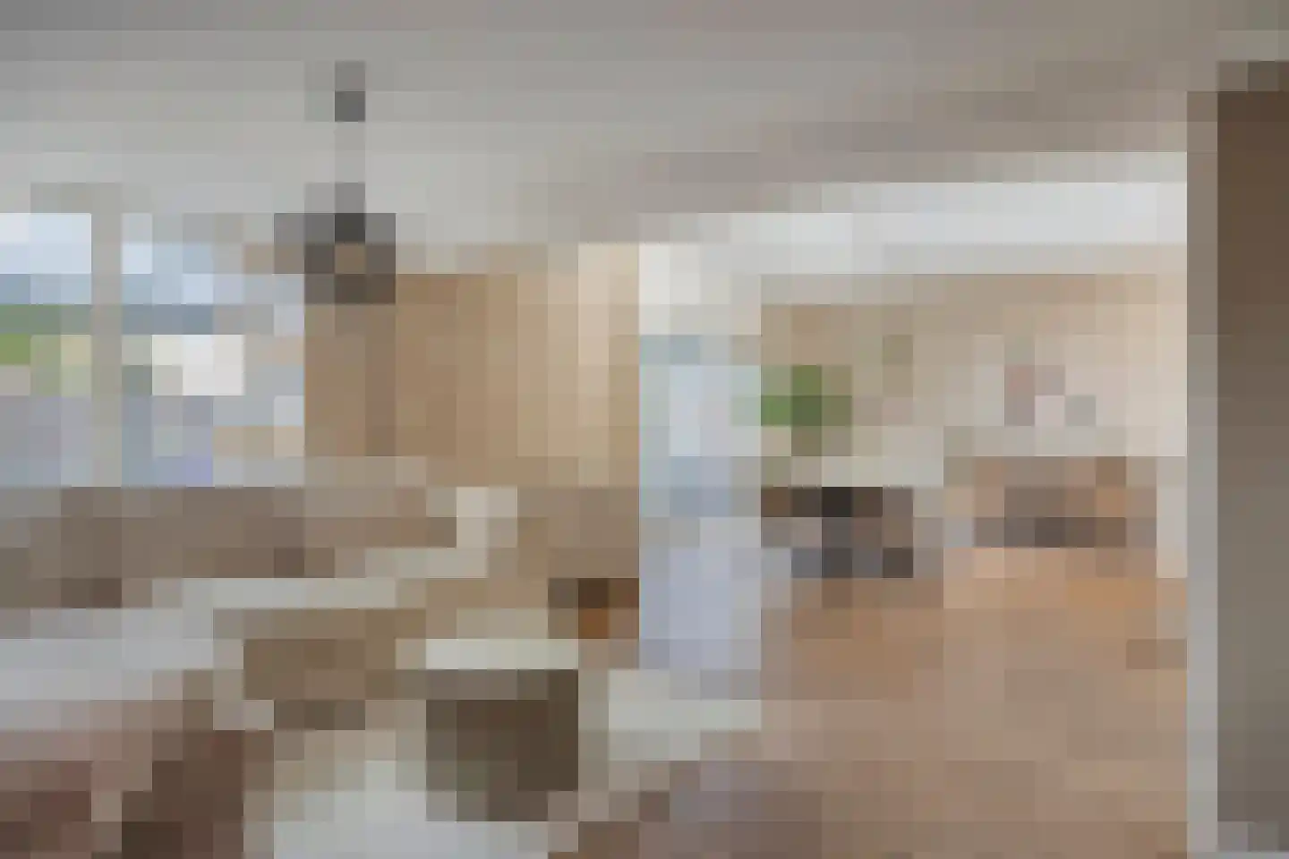 Zandkrab 10 Eindhoven thumbnail 5