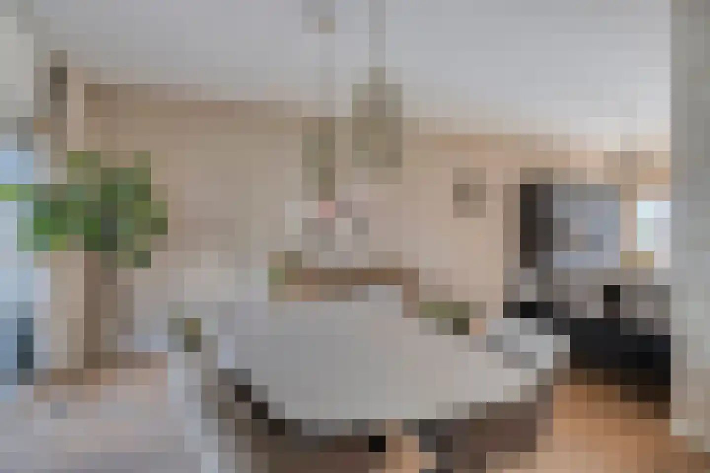 Zandkrab 10 Eindhoven thumbnail 6
