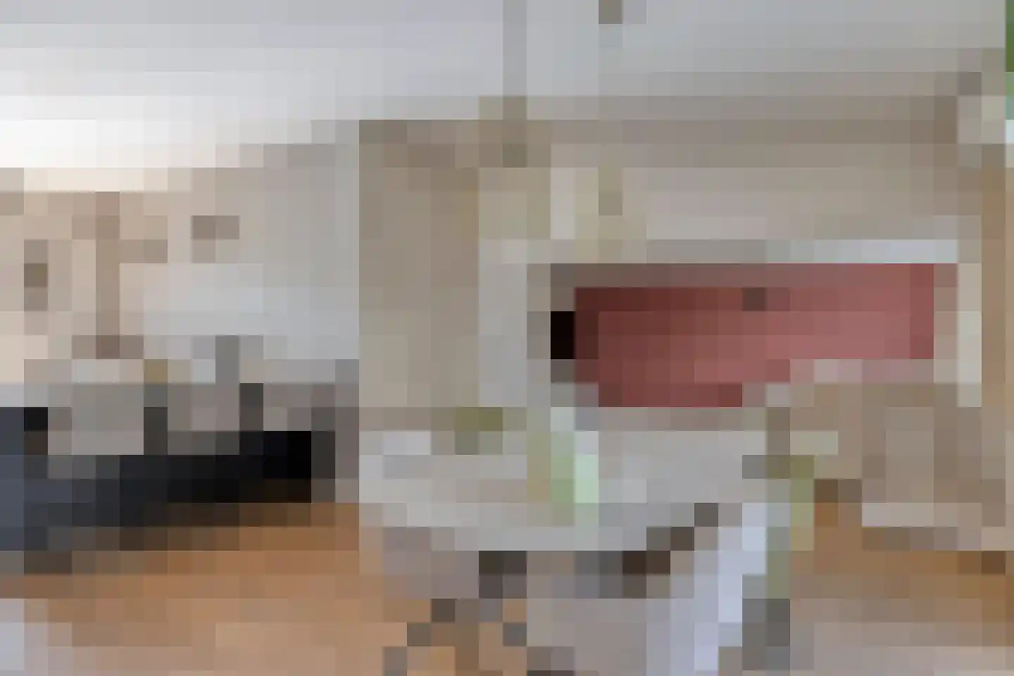 Zandkrab 10 Eindhoven thumbnail 7