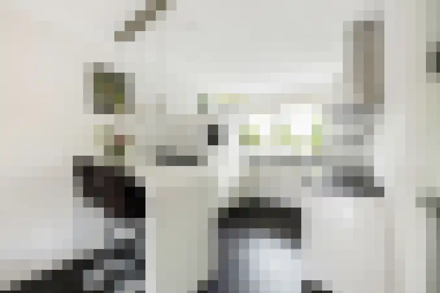 Zandkrab 2 Eindhoven thumbnail 13