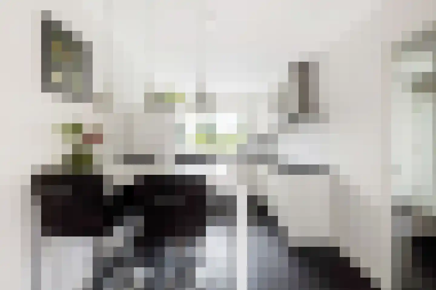Zandkrab 2 Eindhoven thumbnail 14