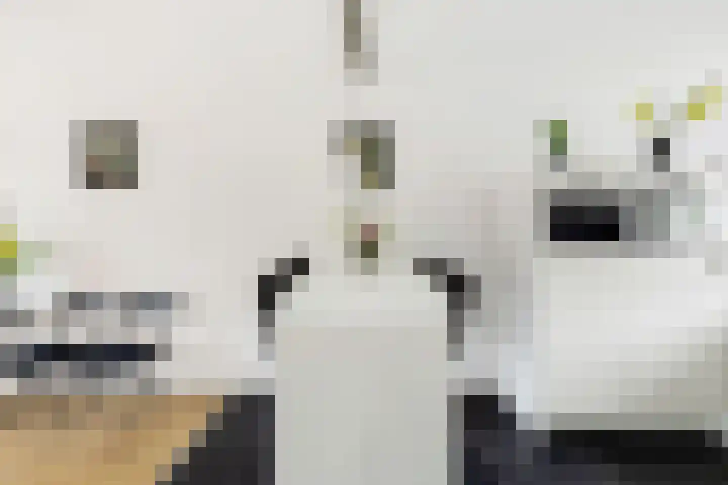 Zandkrab 2 Eindhoven thumbnail 15