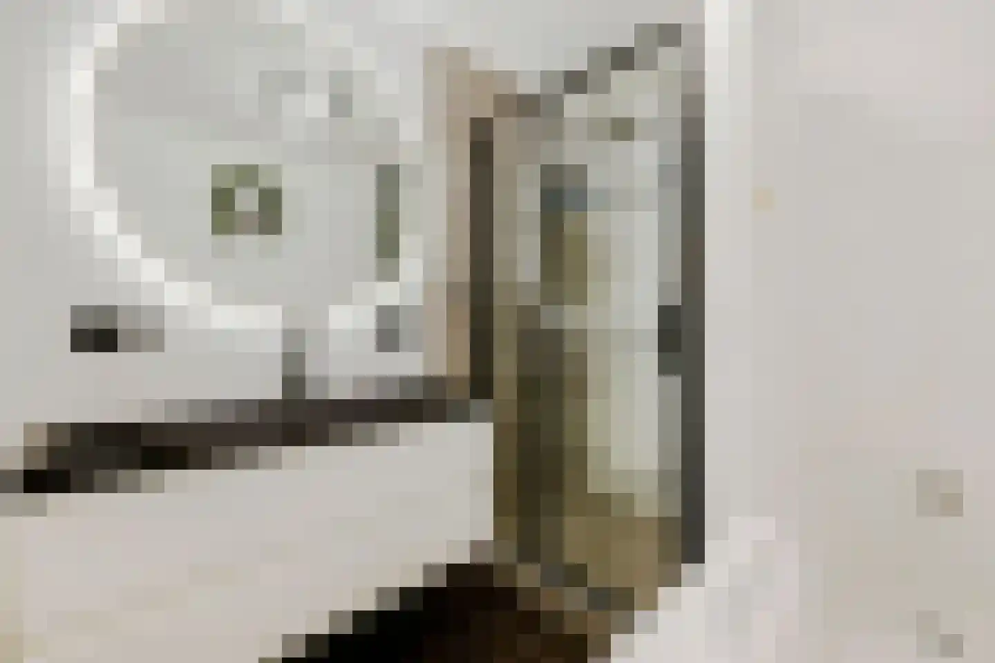 Zandkrab 2 Eindhoven thumbnail 29