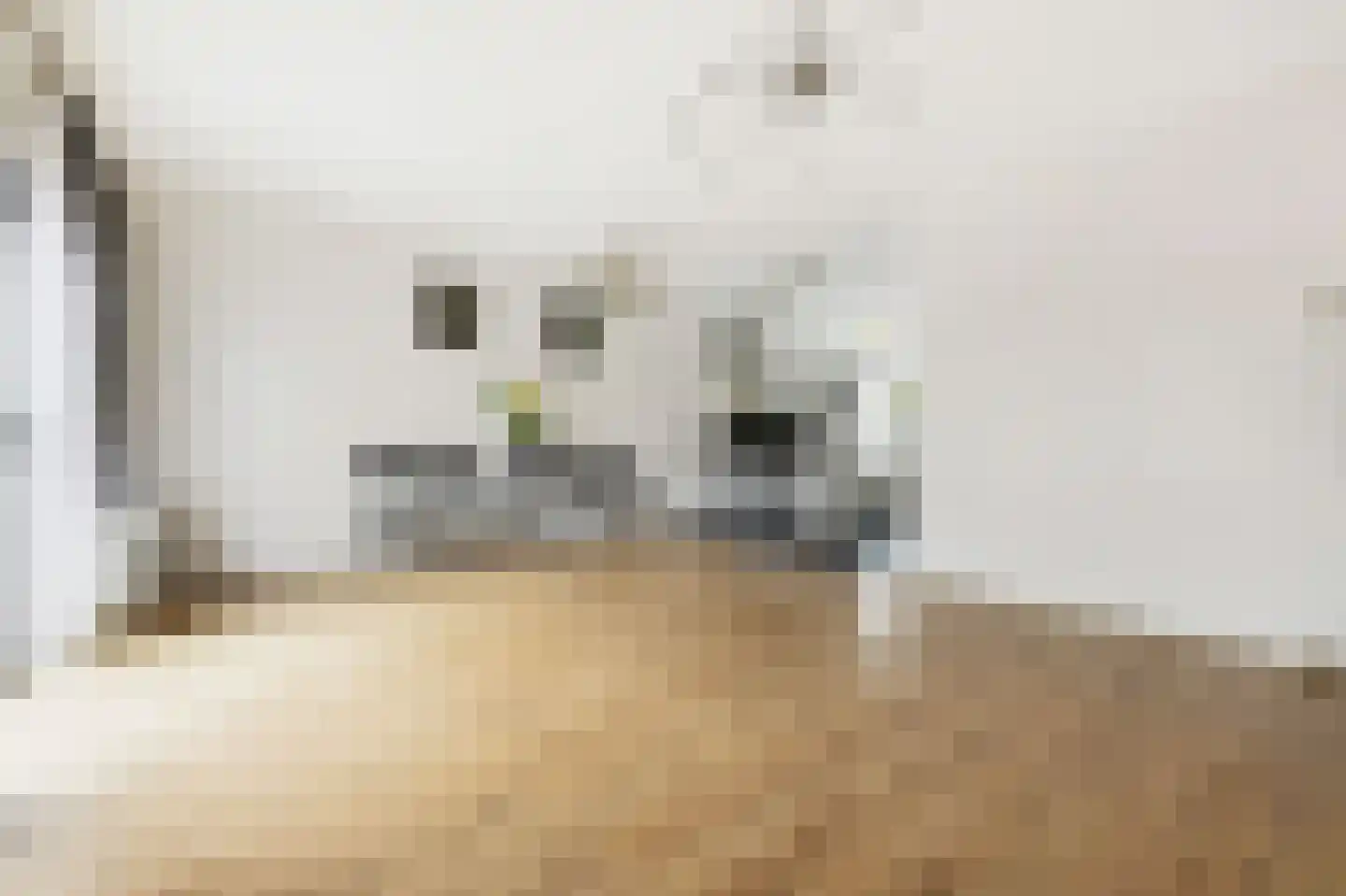 Zandkrab 2 Eindhoven thumbnail 8