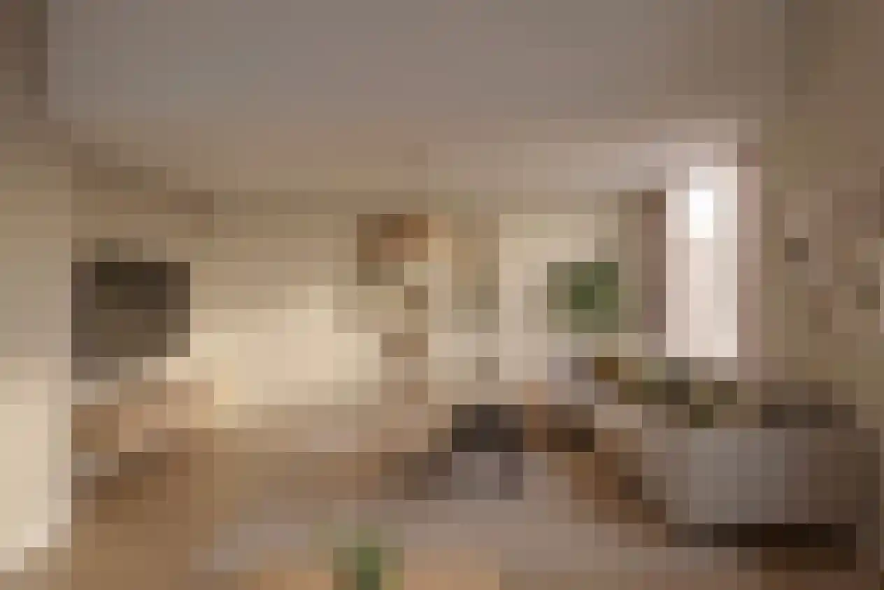 Zandkrab 36 Eindhoven thumbnail 14