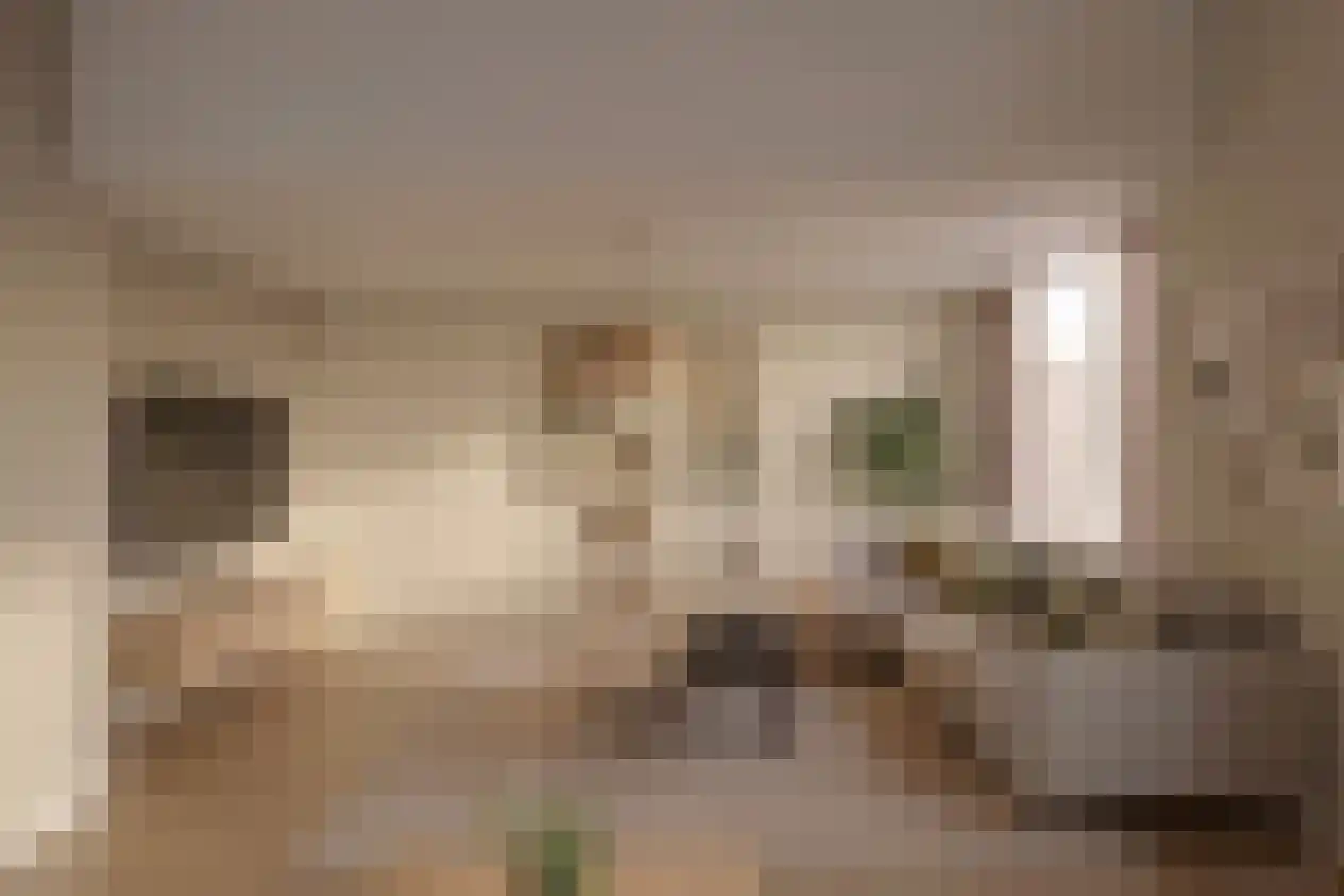 Zandkrab 36 Eindhoven thumbnail 15