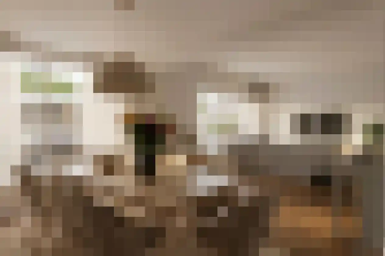 Zandkrab 36 Eindhoven thumbnail 19
