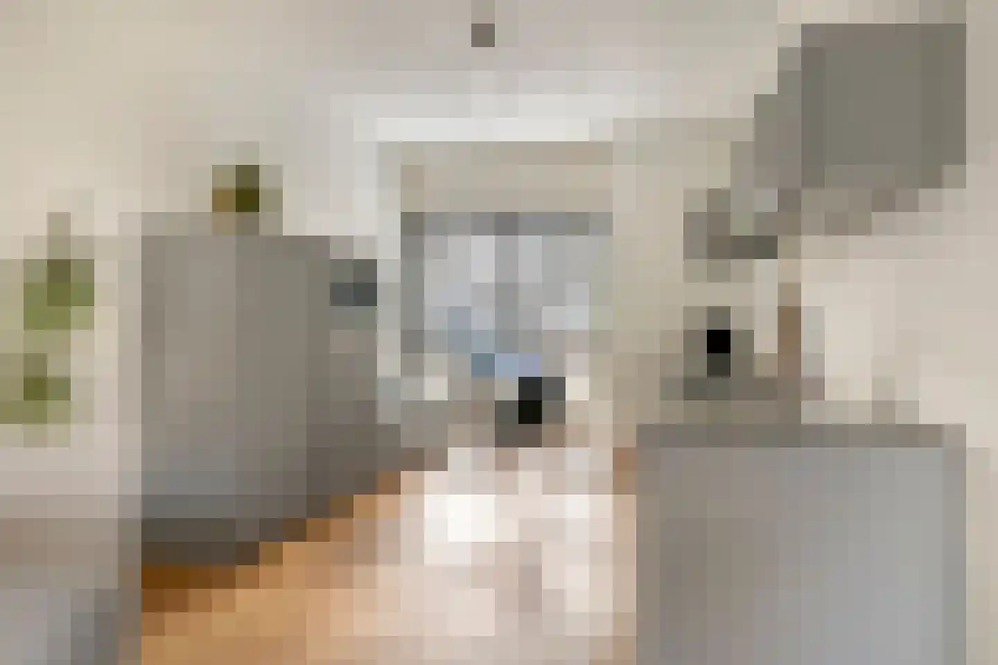 Zandkrab 36 Eindhoven thumbnail 4