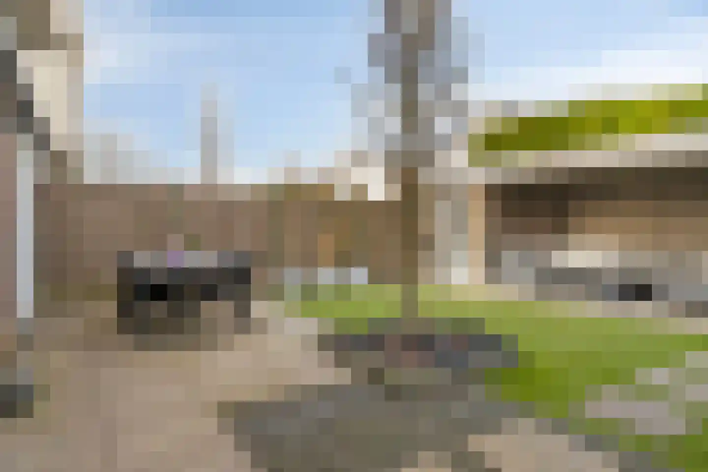 Zandkrab 36 Eindhoven thumbnail 41
