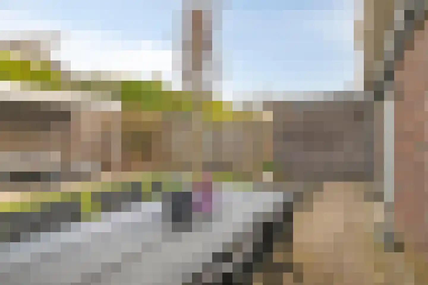 Zandkrab 36 Eindhoven thumbnail 44