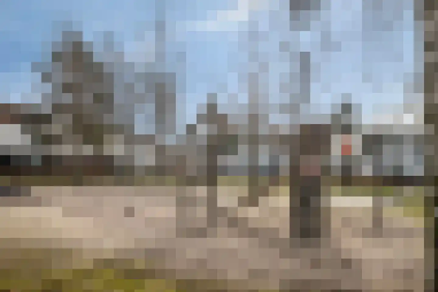 Zandkrab 36 Eindhoven thumbnail 53