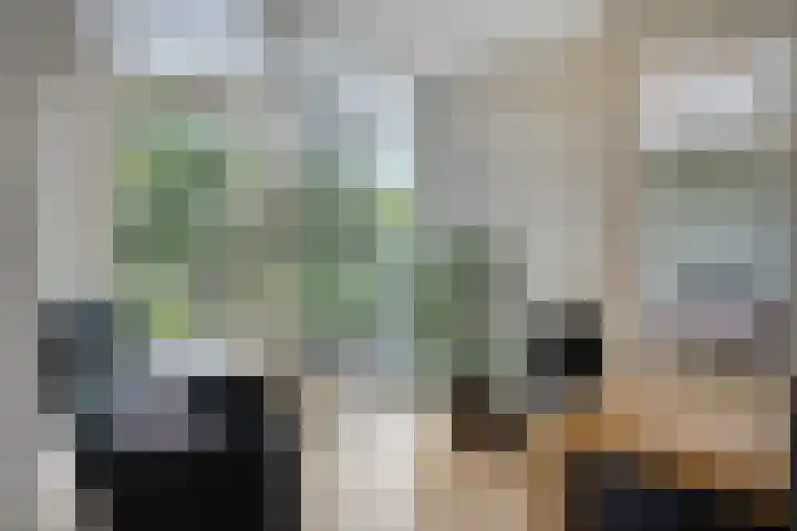 Zandkreek 1 Zwolle thumbnail 10