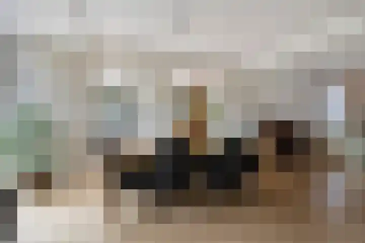 Zandkreek 1 Zwolle thumbnail 11