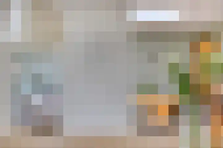Zandkreek 1 Zwolle thumbnail 13