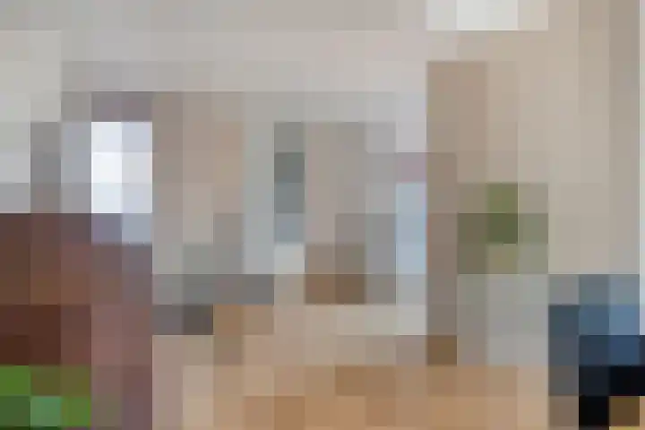 Zandkreek 1 Zwolle thumbnail 14