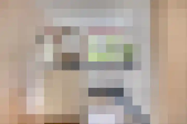 Zandkreek 1 Zwolle thumbnail 16