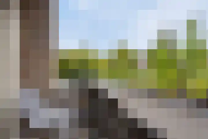 Zandkreek 1 Zwolle thumbnail 24