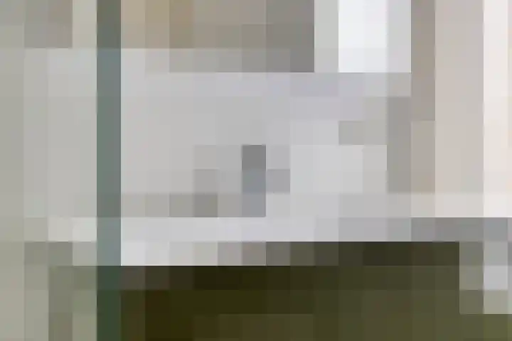 Zandkreek 1 Zwolle thumbnail 30