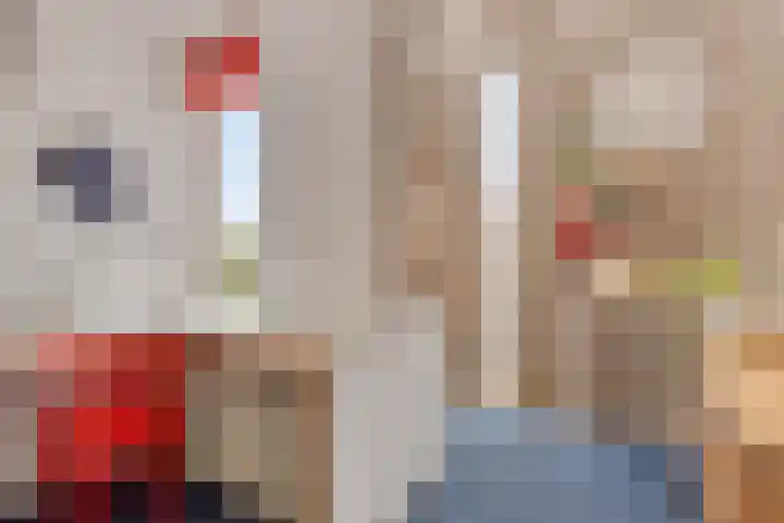 Zandkreek 1 Zwolle thumbnail 31