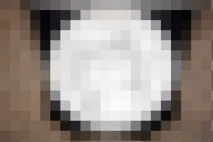 Zandkreek 1 Zwolle thumbnail 33