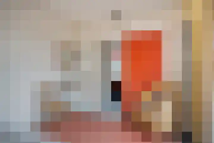 Zandkreek 1 Zwolle thumbnail 36