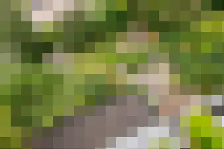 Zandkreek 1 Zwolle thumbnail 39