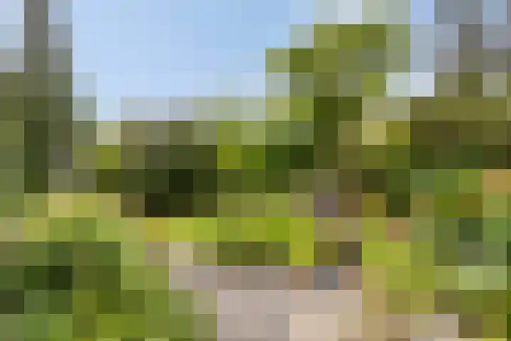 Zandkreek 1 Zwolle thumbnail 40