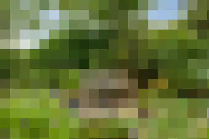 Zandkreek 1 Zwolle thumbnail 41