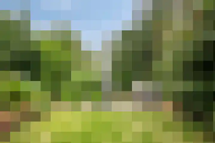 Zandkreek 1 Zwolle thumbnail 42