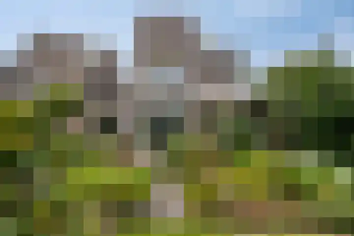 Zandkreek 1 Zwolle thumbnail 43